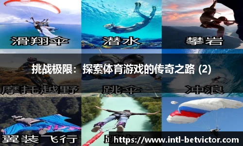 韦德体育公司